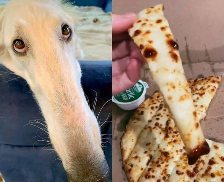 Funny Picdump Funny Picdump