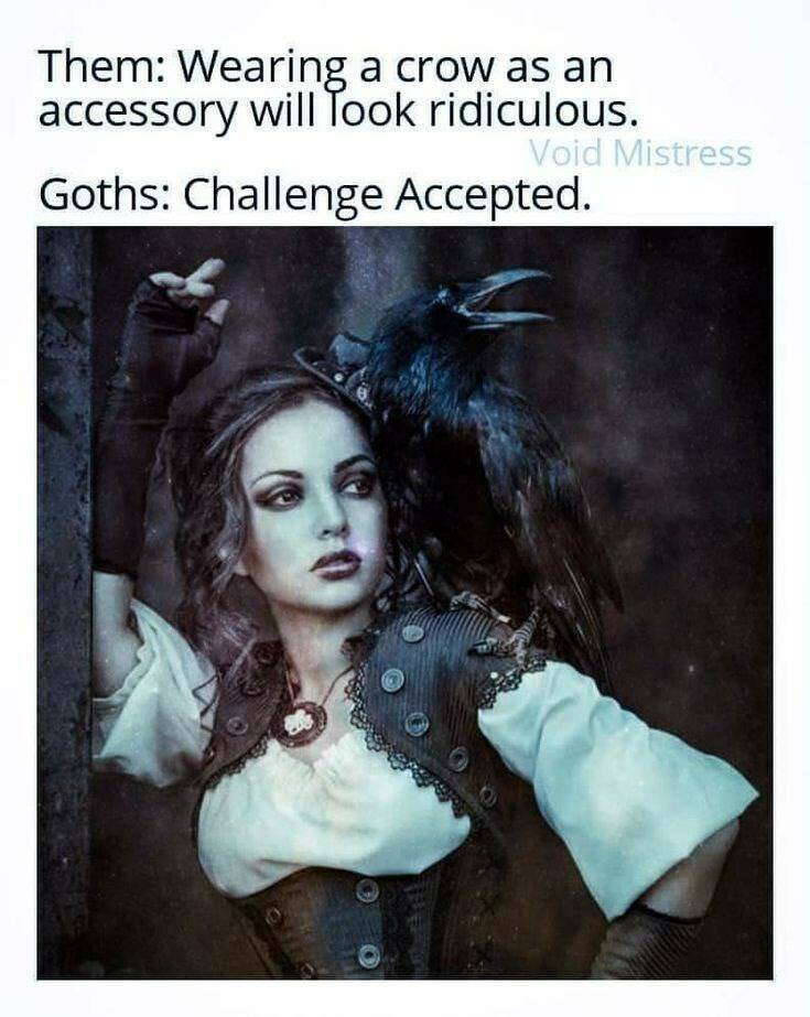 Funny Picdump Funny Picdump