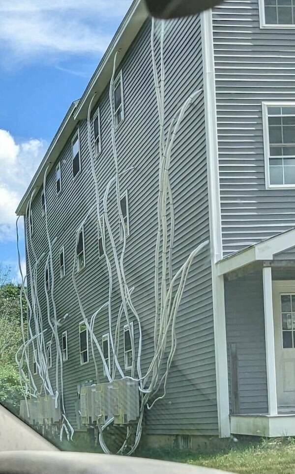 Tales from the Rental Crypt