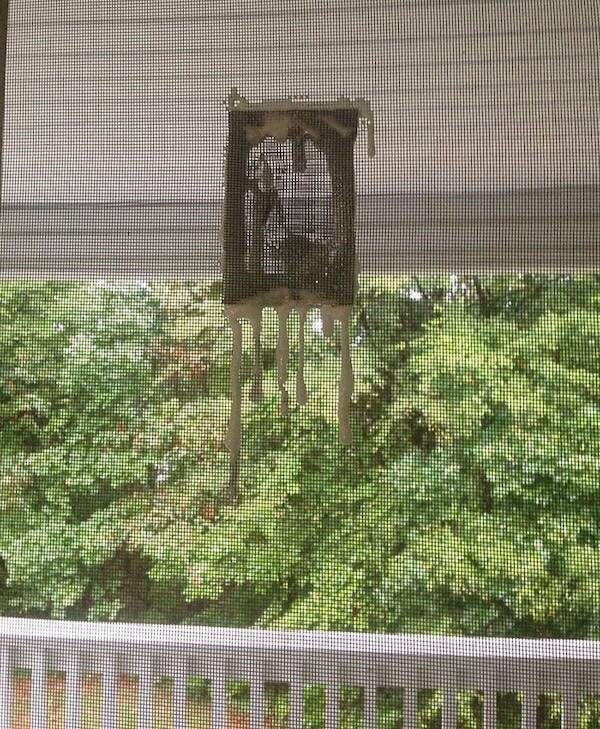 Tales from the Rental Crypt