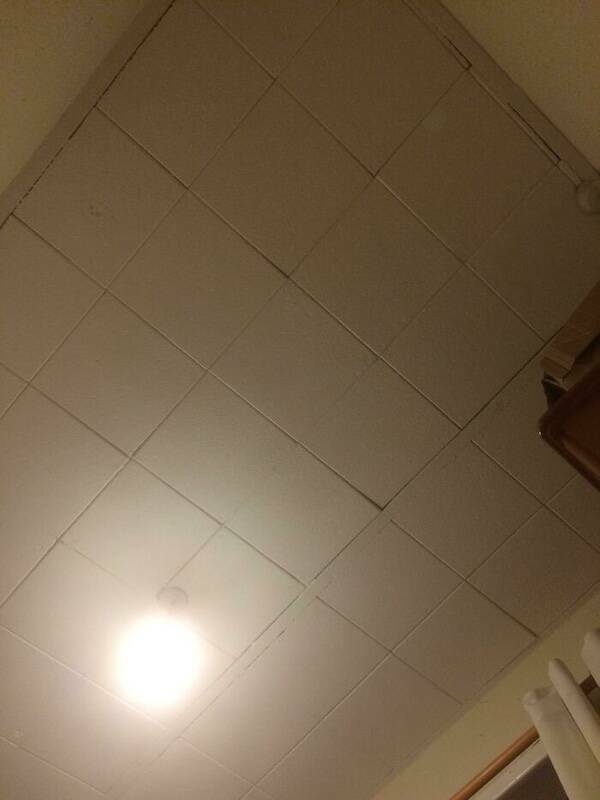 Tales from the Rental Crypt