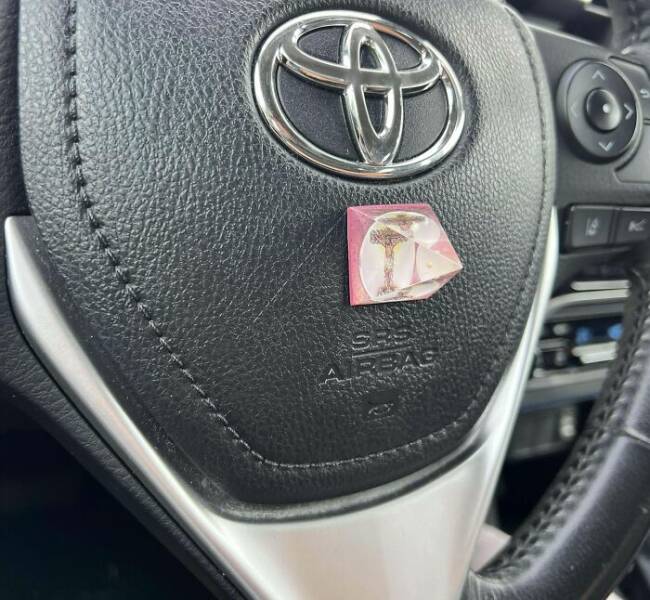 When Architects Said “Trust Me” and Chaos Ensued