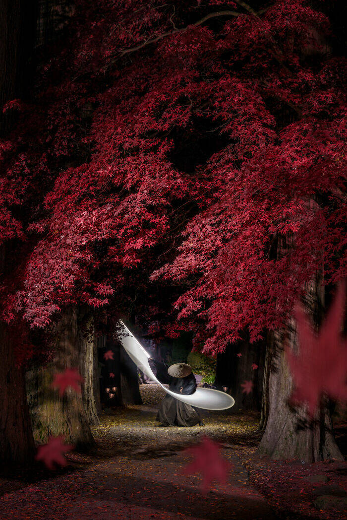 Award-Winning Moments Captured at the 2025 IPA