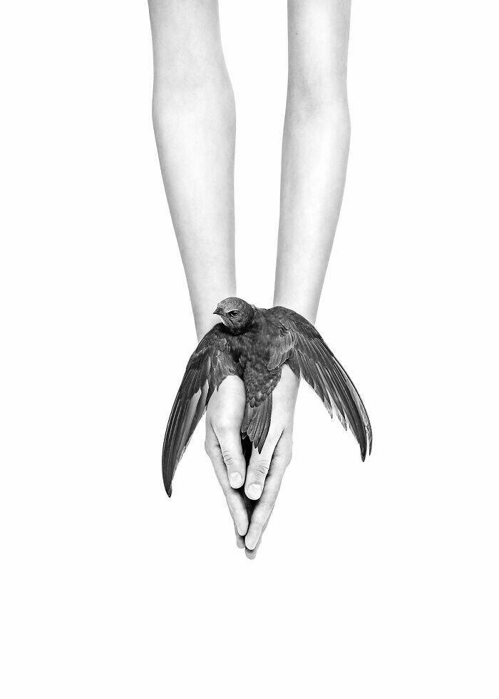 Award-Winning Moments Captured at the 2025 IPA