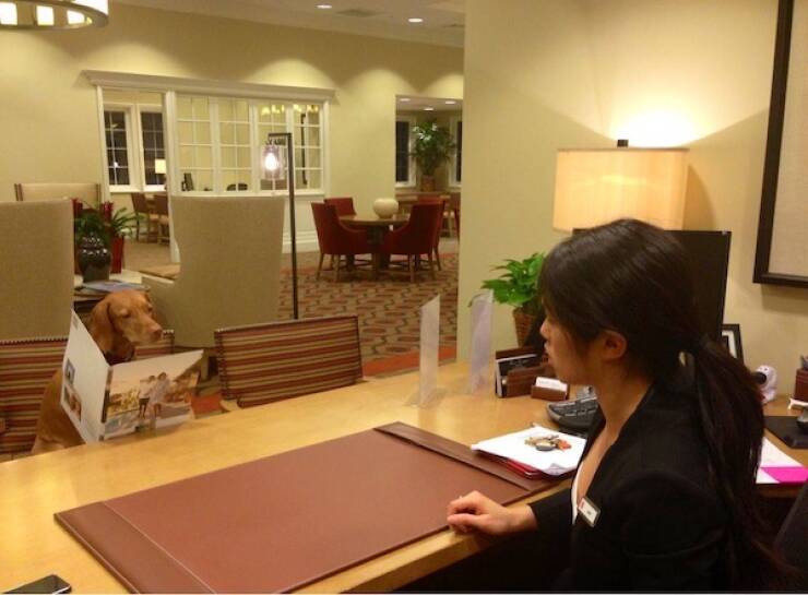 Back to the Grind… Again