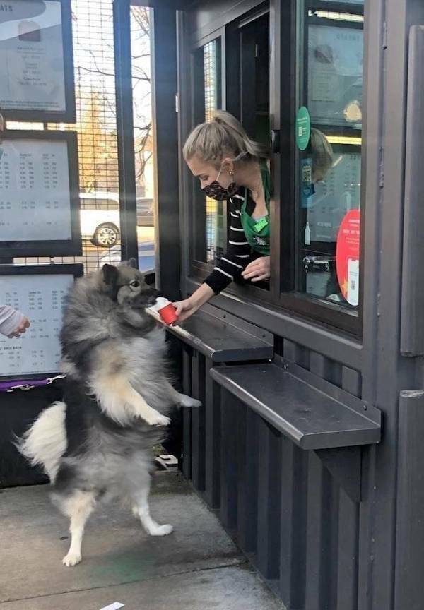 Back to the Grind… Again