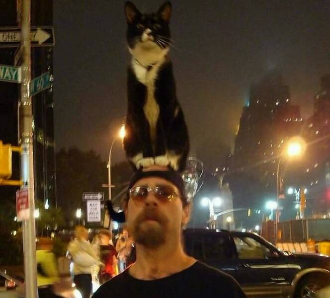 Morning Picdump Morning Picdump