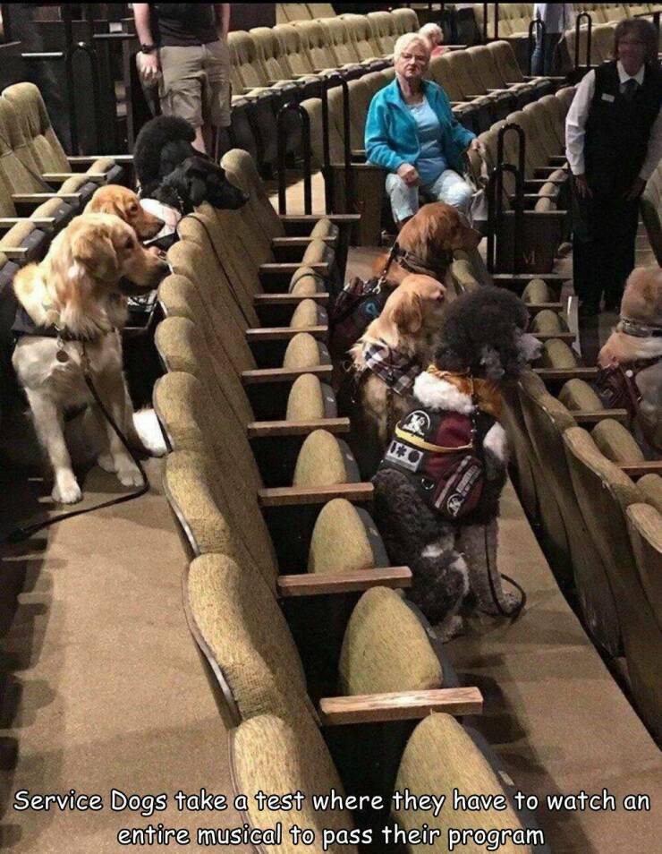 Morning Picdump Morning Picdump