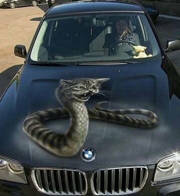 Morning Picdump Morning Picdump