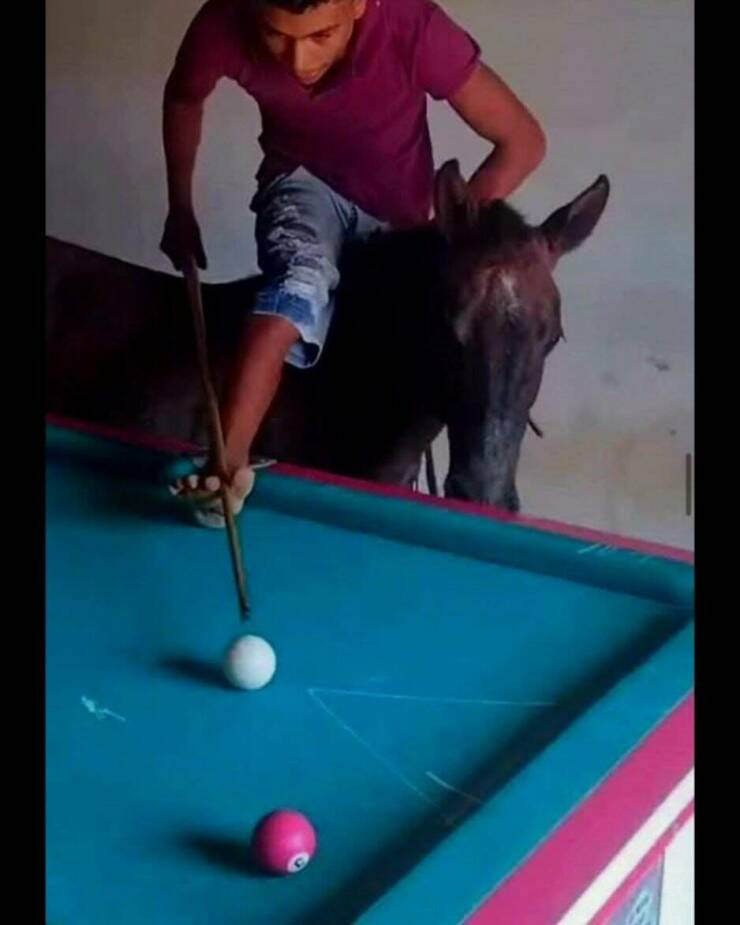 Morning Picdump Morning Picdump