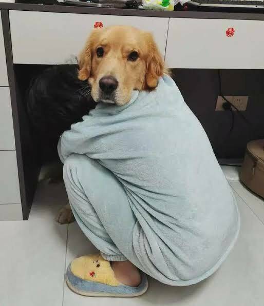 Morning Picdump Morning Picdump