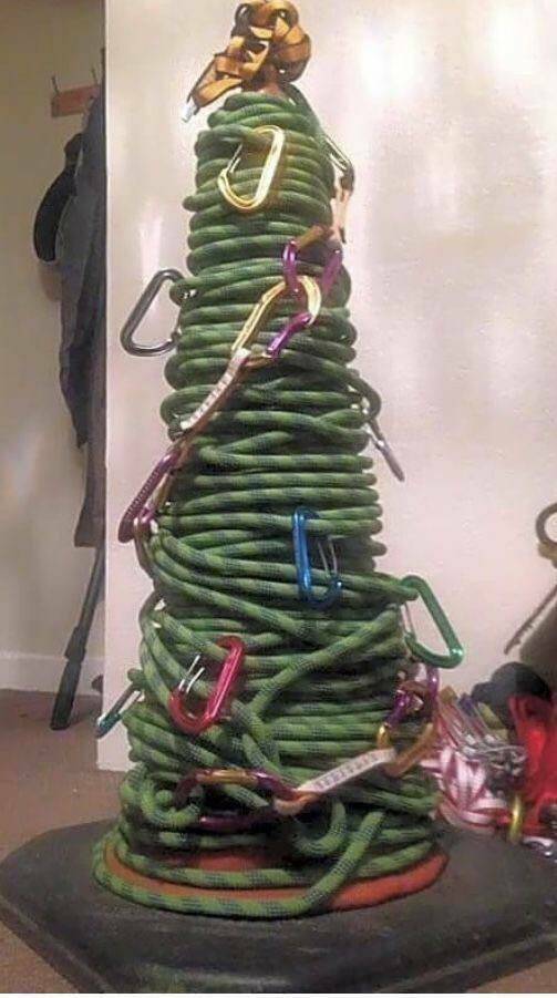 Morning Picdump Morning Picdump