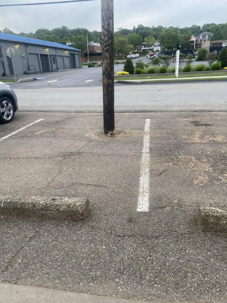 Morning Picdump Morning Picdump