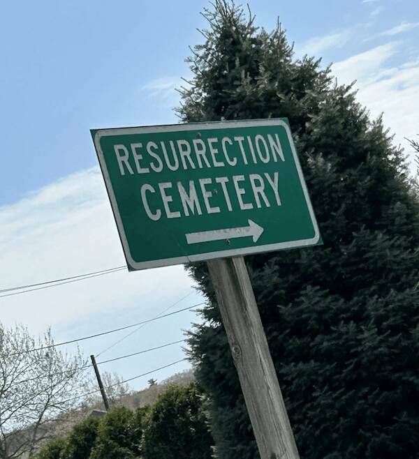 Signs All Around, Meaning Nowhere Signs All Around, Meaning Nowhere