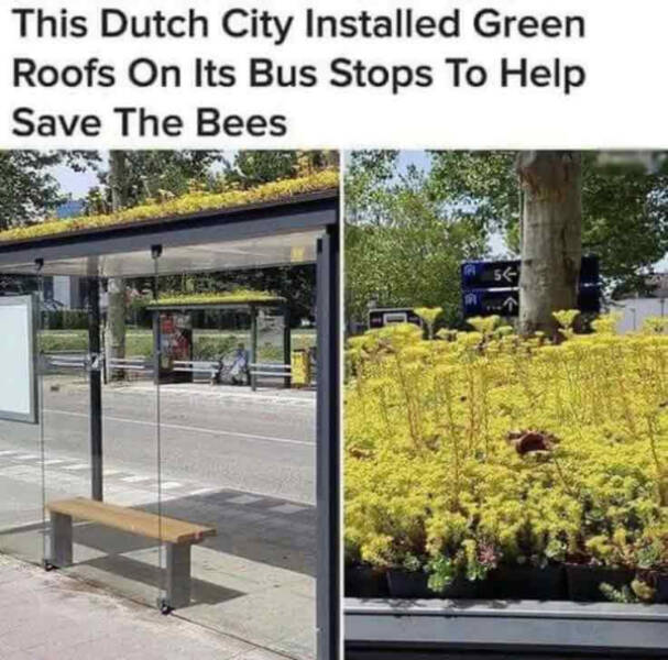 Gardening Gone Wild Gardening Gone Wild