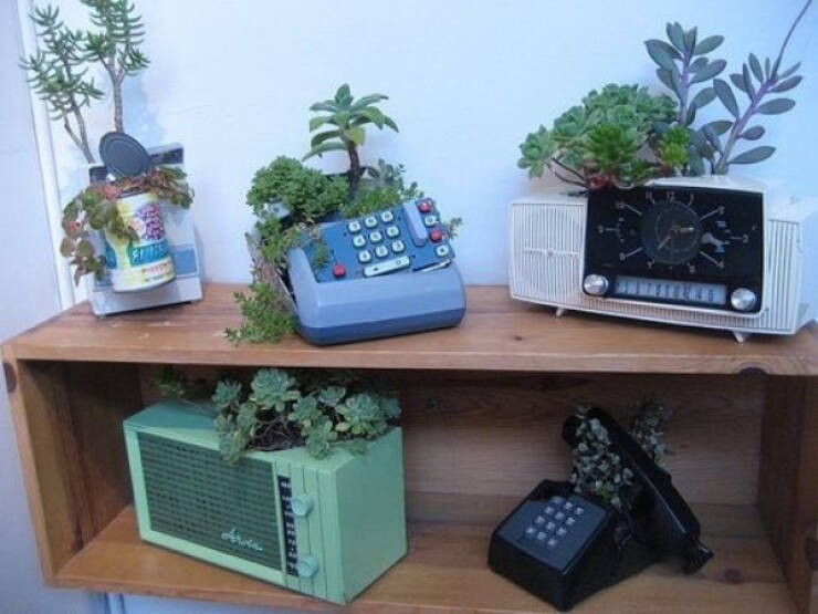 Gardening Gone Wild Gardening Gone Wild