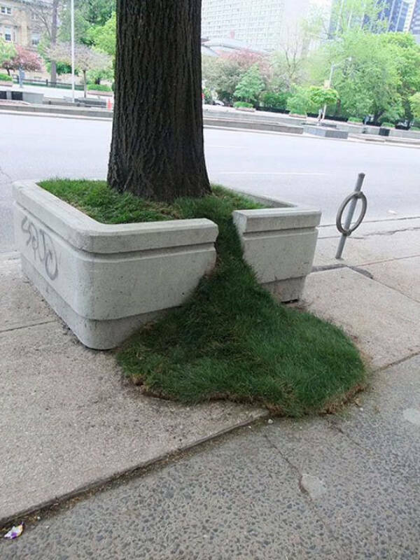 Gardening Gone Wild Gardening Gone Wild