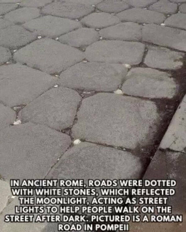 Gardening Gone Wild Gardening Gone Wild