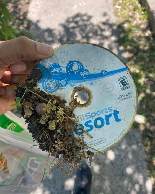 Gardening Gone Wild Gardening Gone Wild