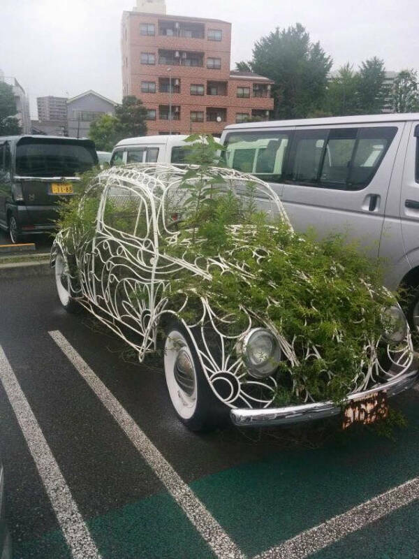 Gardening Gone Wild Gardening Gone Wild