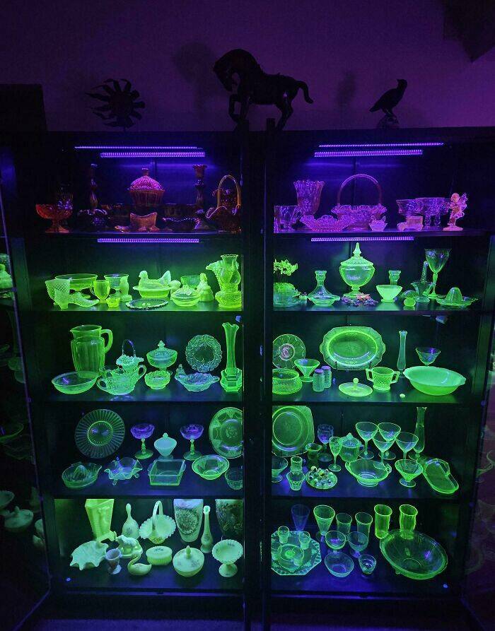 The Strangest Collections Ever