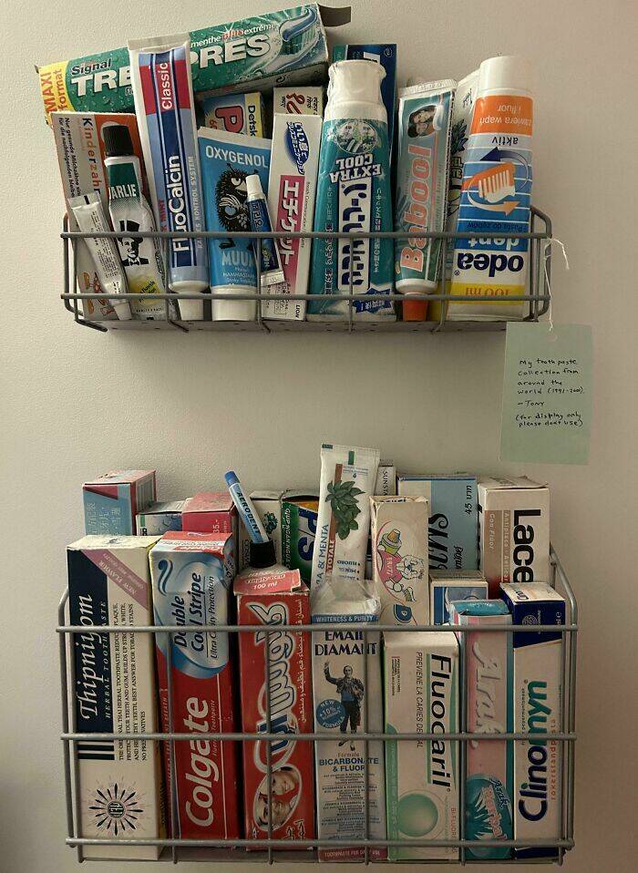 The Strangest Collections Ever