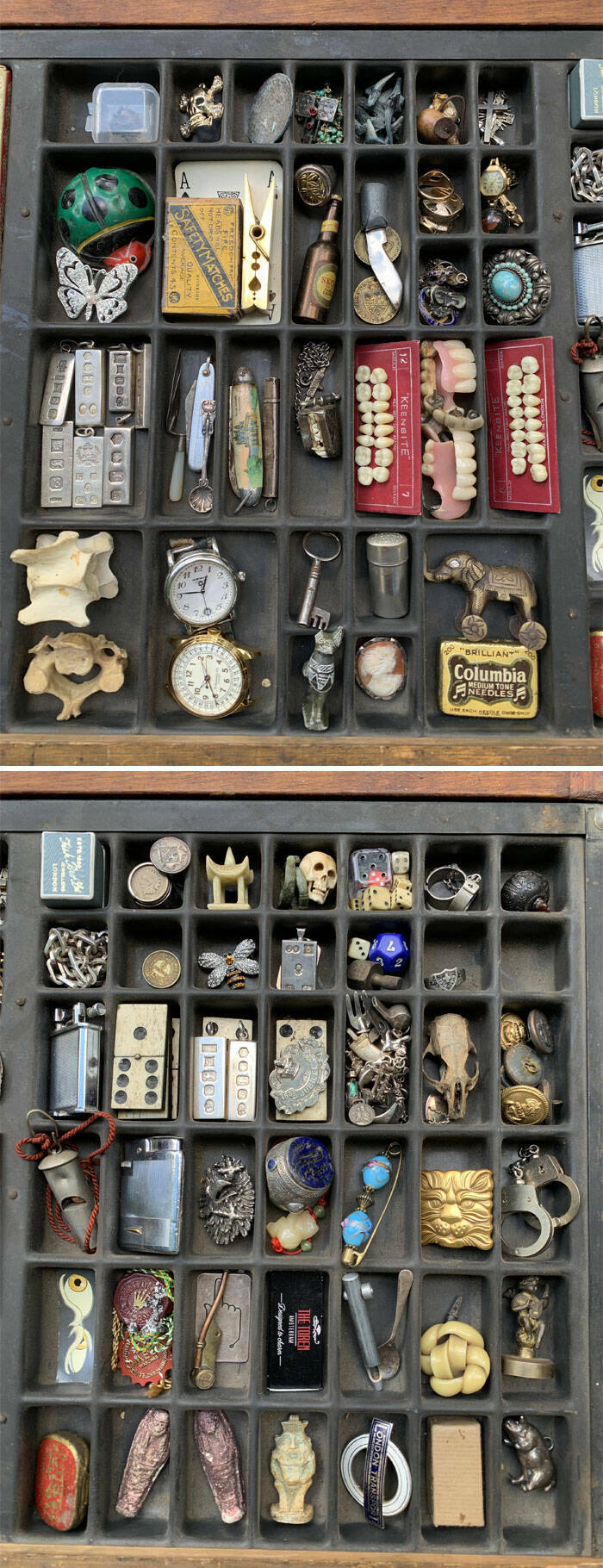 The Strangest Collections Ever