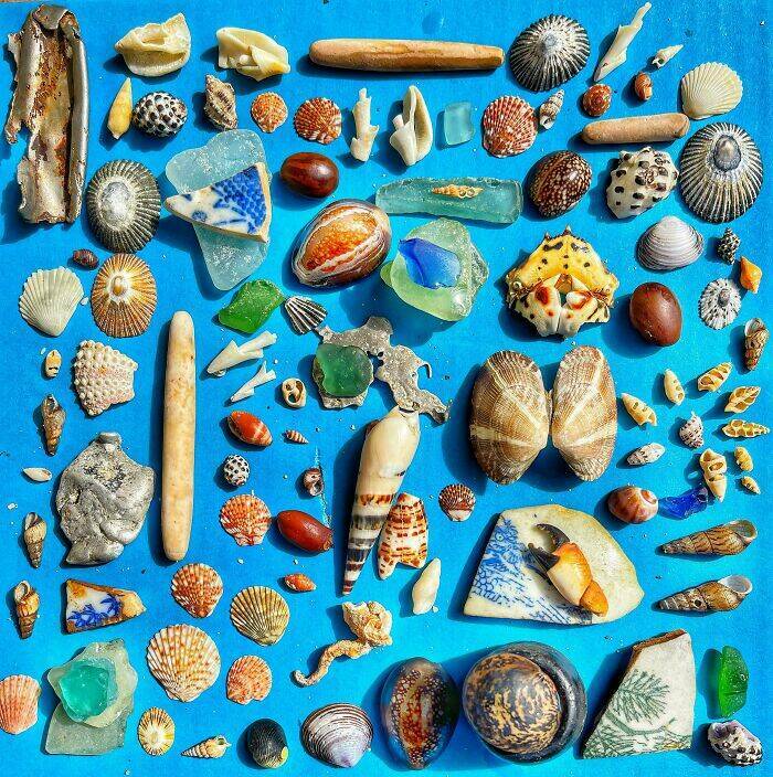 The Strangest Collections Ever