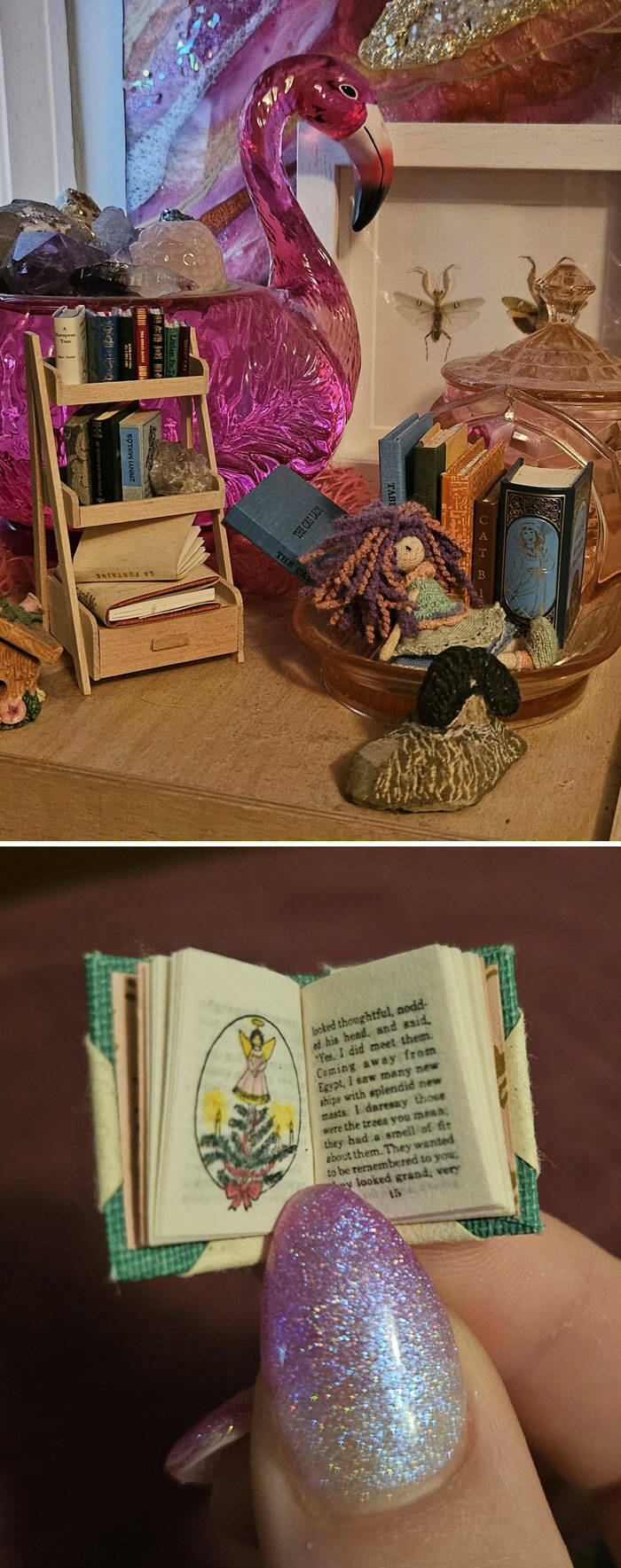 The Strangest Collections Ever