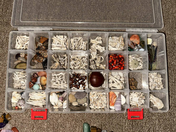 The Strangest Collections Ever