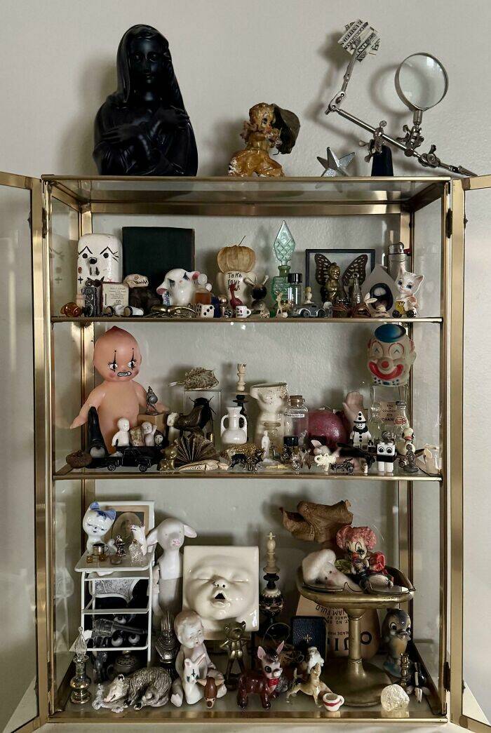 The Strangest Collections Ever