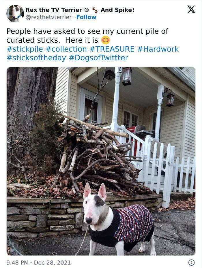 The Strangest Collections Ever