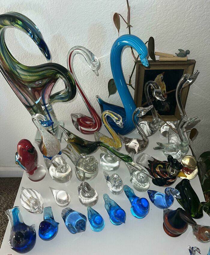 The Strangest Collections Ever