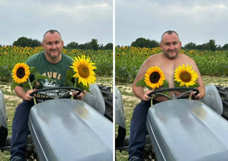 When You Ask Literally, You Get Literally