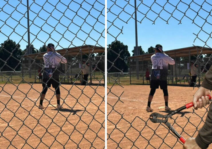 When You Ask Literally, You Get Literally