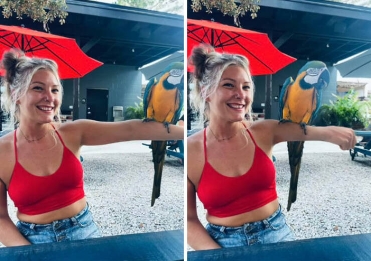 When You Ask Literally, You Get Literally