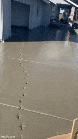 Daily Gifdump Daily Gifdump