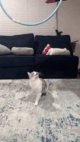 Daily Gifdump Daily Gifdump