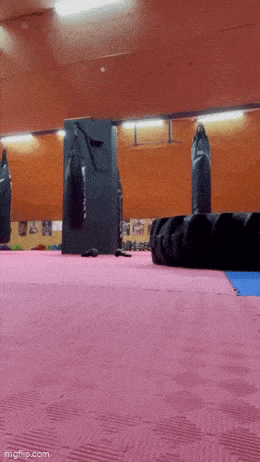 Daily Gifdump Daily Gifdump