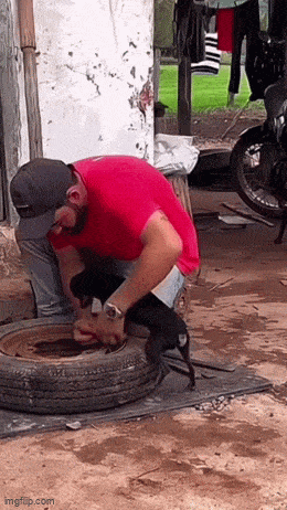 Daily Gifdump Daily Gifdump