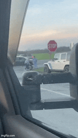 Daily Gifdump Daily Gifdump