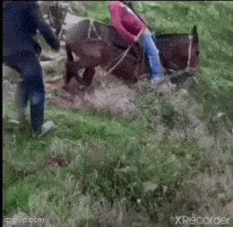 Daily Gifdump Daily Gifdump