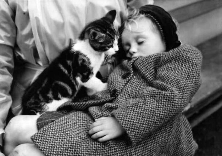 Charming Vintage Photos That Capture the Eternal Bond Between Kids And Cats