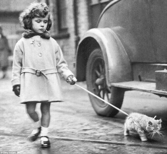 Charming Vintage Photos That Capture the Eternal Bond Between Kids And Cats