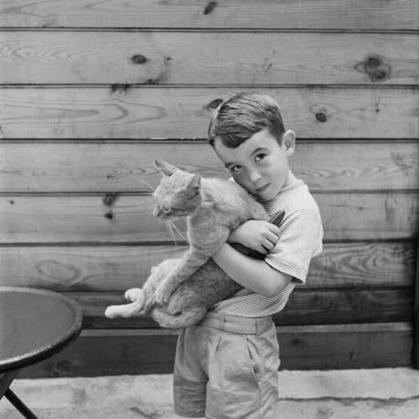 Charming Vintage Photos That Capture the Eternal Bond Between Kids And Cats
