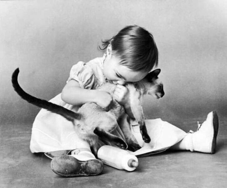 Charming Vintage Photos That Capture the Eternal Bond Between Kids And Cats