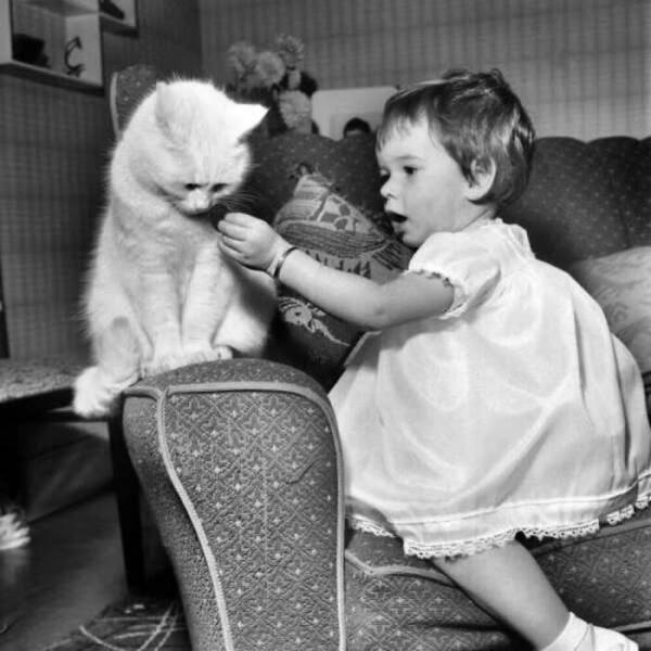 Charming Vintage Photos That Capture the Eternal Bond Between Kids And Cats