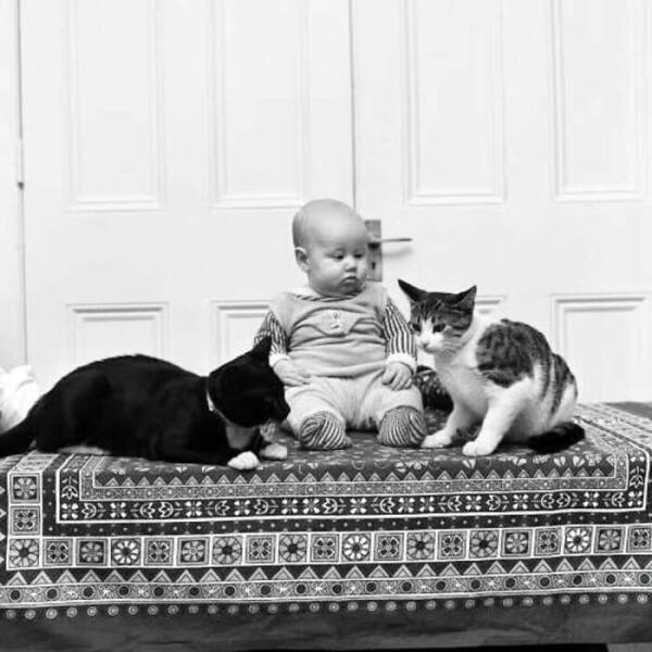 Charming Vintage Photos That Capture the Eternal Bond Between Kids And Cats