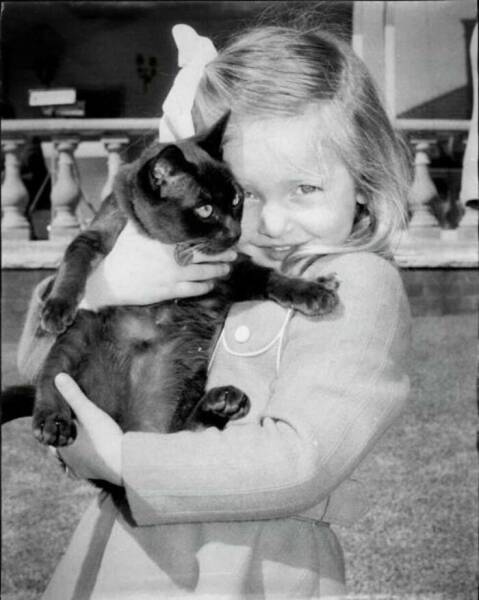 Charming Vintage Photos That Capture the Eternal Bond Between Kids And Cats
