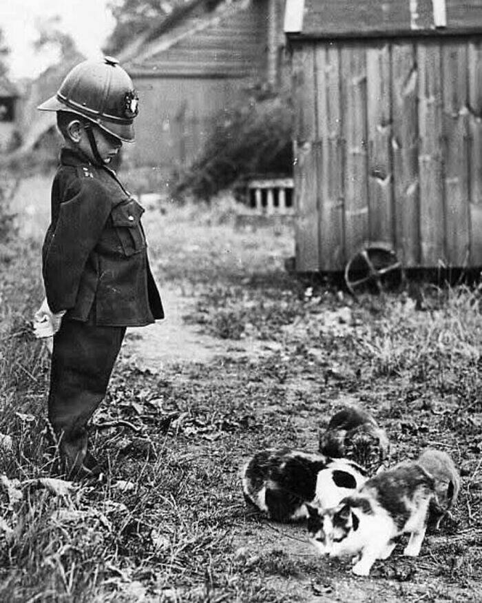 Charming Vintage Photos That Capture the Eternal Bond Between Kids And Cats
